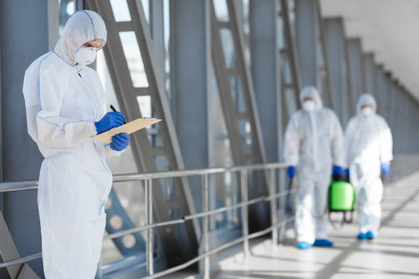 Best Water Damage & Mold Remediation  in Gardnertown, NY