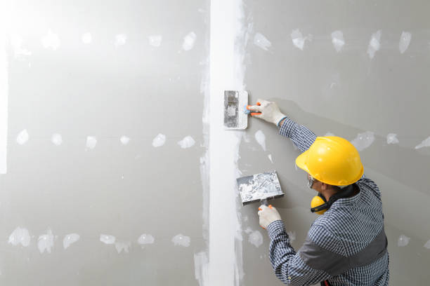 Best Comprehensive Air Testing for Mold Contaminants  in Gardnertown, NY