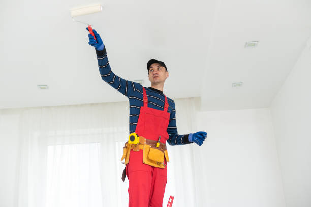 Best Emergency Mold Remediation  in Gardnertown, NY