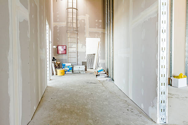  Gardnertown, NY Mold Removal Pros